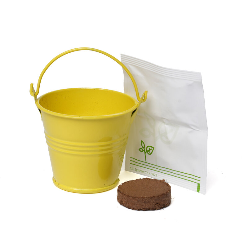 Coloured Mini Bucket Grow Kit – image 77