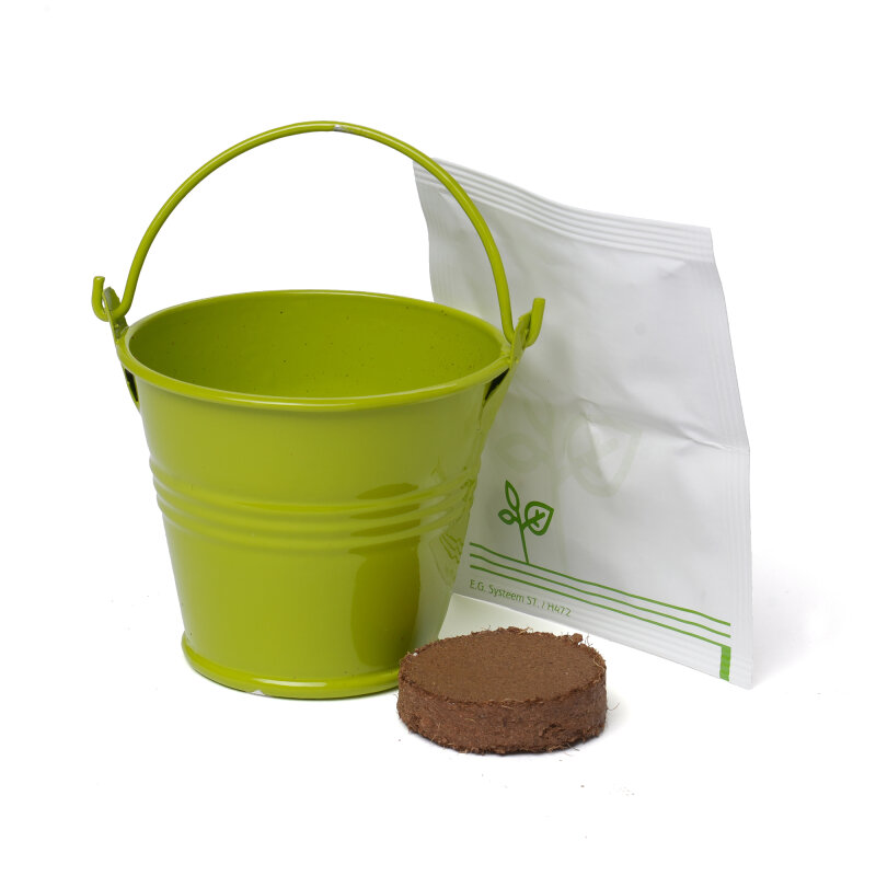 Coloured Mini Bucket Grow Kit – image 30