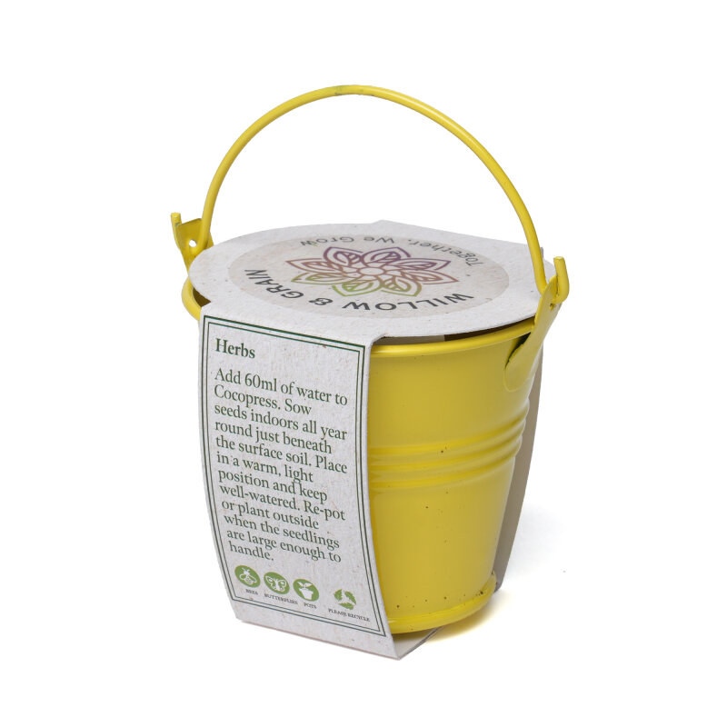 Coloured Mini Bucket Grow Kit – image 75