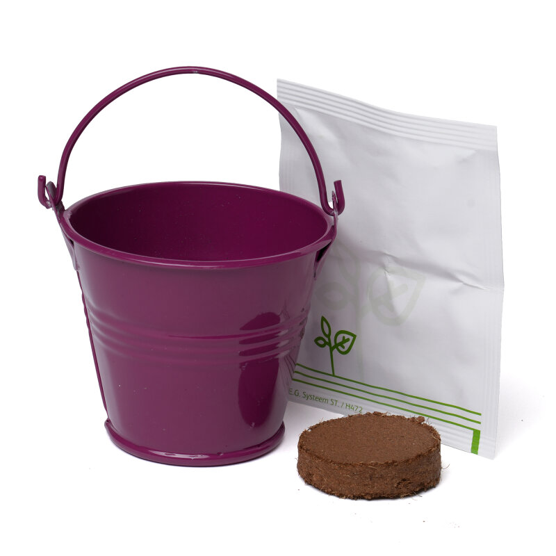 Coloured Mini Bucket Grow Kit – image 70