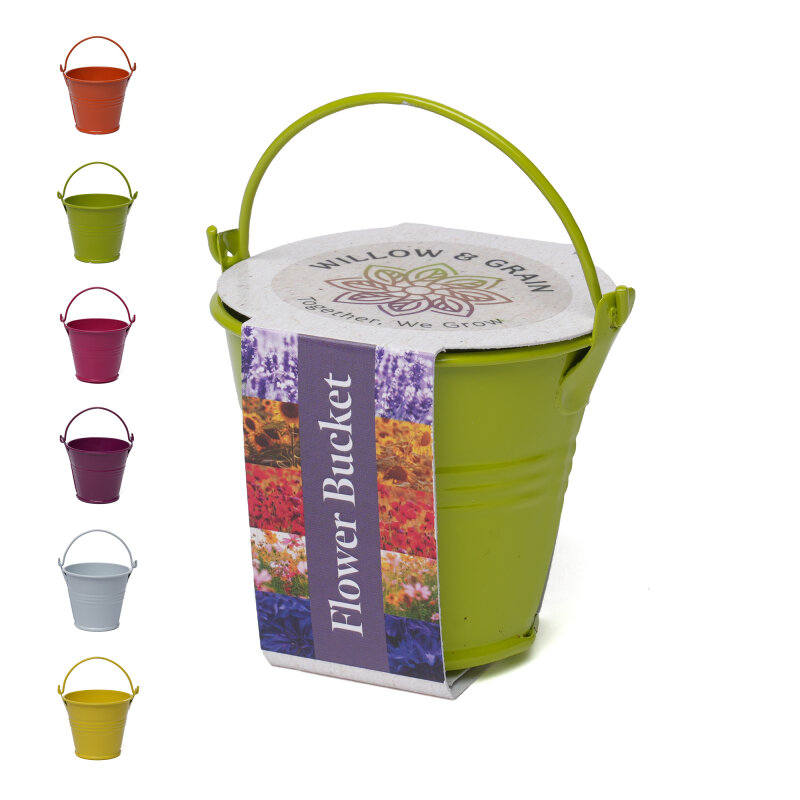 Coloured Mini Bucket Grow Kit – image 47