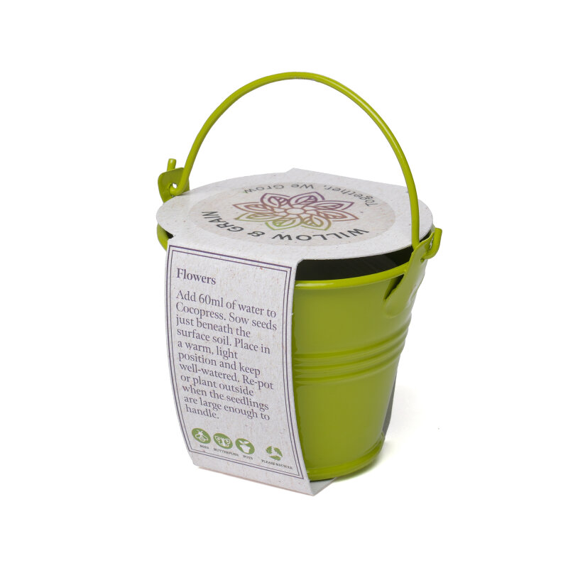 Coloured Mini Bucket Grow Kit – image 60