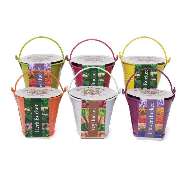 Coloured Mini Bucket Grow Kit – image 13