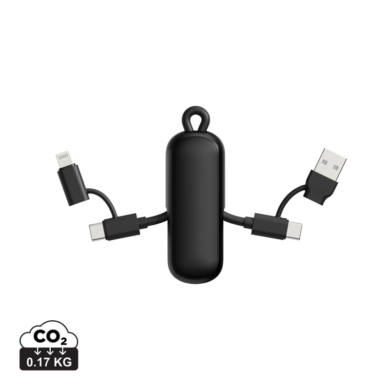 Urban Vitamin Dublin 100W 4 -in-1 keychain cable – image 12