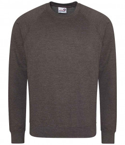 AWDis Academy Senior Raglan Sweatshirt