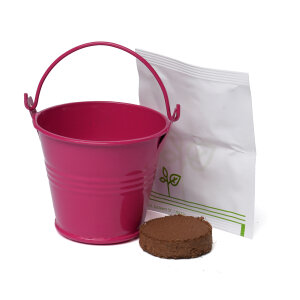 Coloured Mini Bucket Grow Kit – image 66