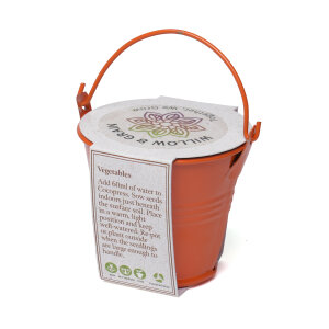 Coloured Mini Bucket Grow Kit – image 36