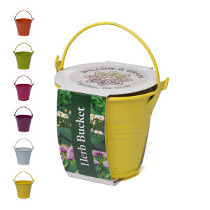 Coloured Mini Bucket Grow Kit – image 39