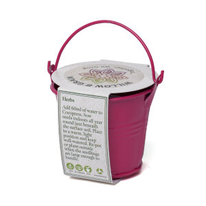 Coloured Mini Bucket Grow Kit – image 44