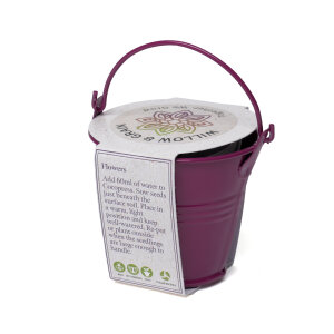 Coloured Mini Bucket Grow Kit – image 68