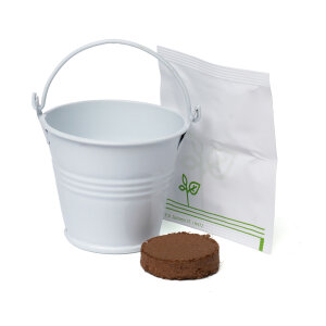 Coloured Mini Bucket Grow Kit – image 74