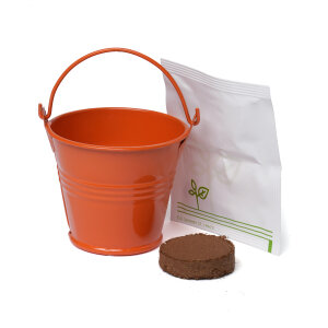 Coloured Mini Bucket Grow Kit – image 38