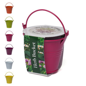 Coloured Mini Bucket Grow Kit – image 63