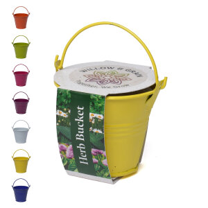 Coloured Mini Bucket Grow Kit – image 113