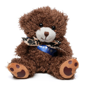 Small Paw Teddy