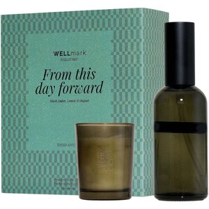Wellmark 100 ml room spray and 70 ml Tender Affection candle gift set – image 2