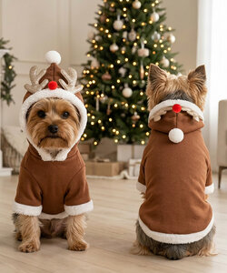 Dogs reindeer hoodie