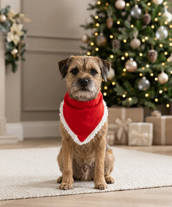 Dogs Christmas bandana