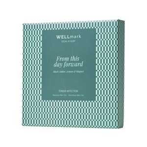 Wellmark Tender Affection 50 ml room spray and 50 ml diffuser gift set – image 2
